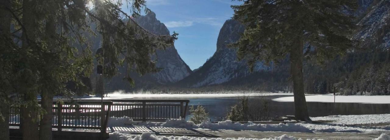 Altmessnerhof Lägenhet Toblach Exteriör bild